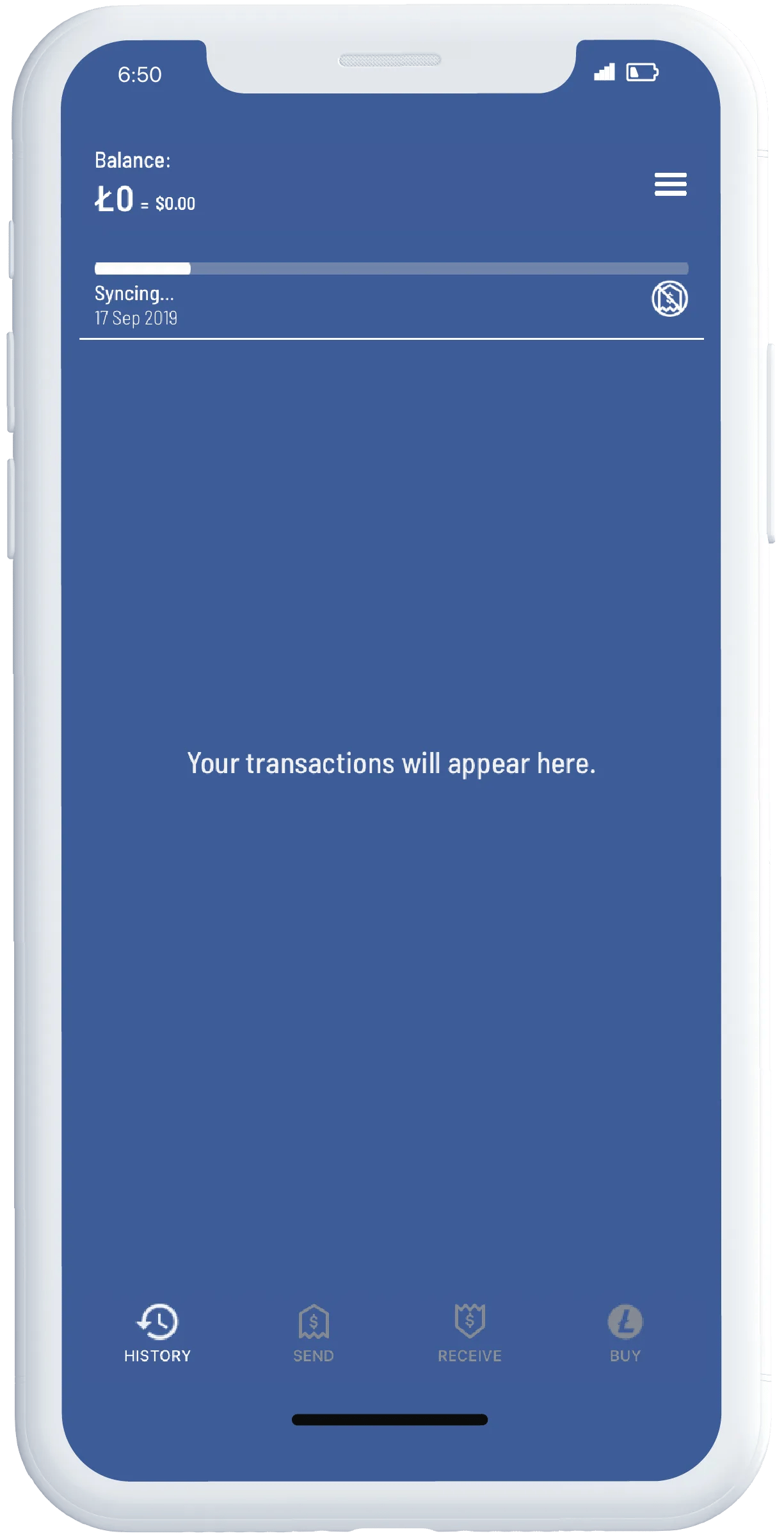 Smart Phone showing screen from Litewallet app
