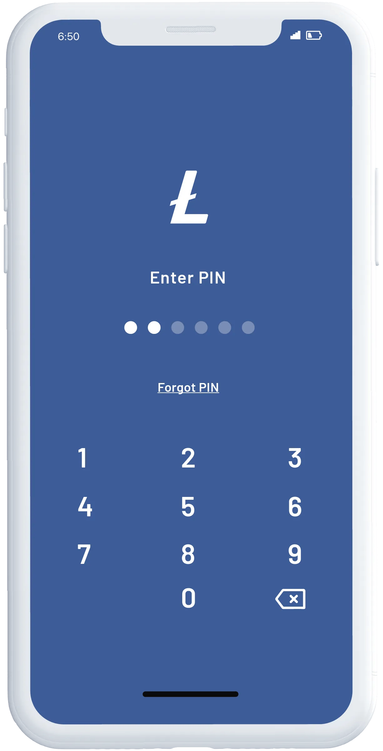 Smart Phone showing screen from Litewallet app